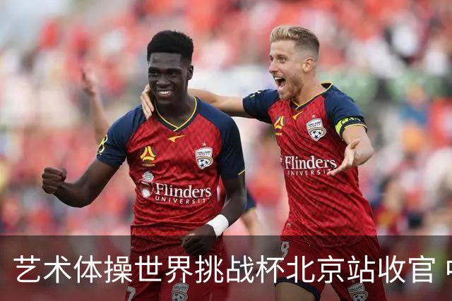 艺术体操世界挑战杯北京站收官 中国队再收2金4银